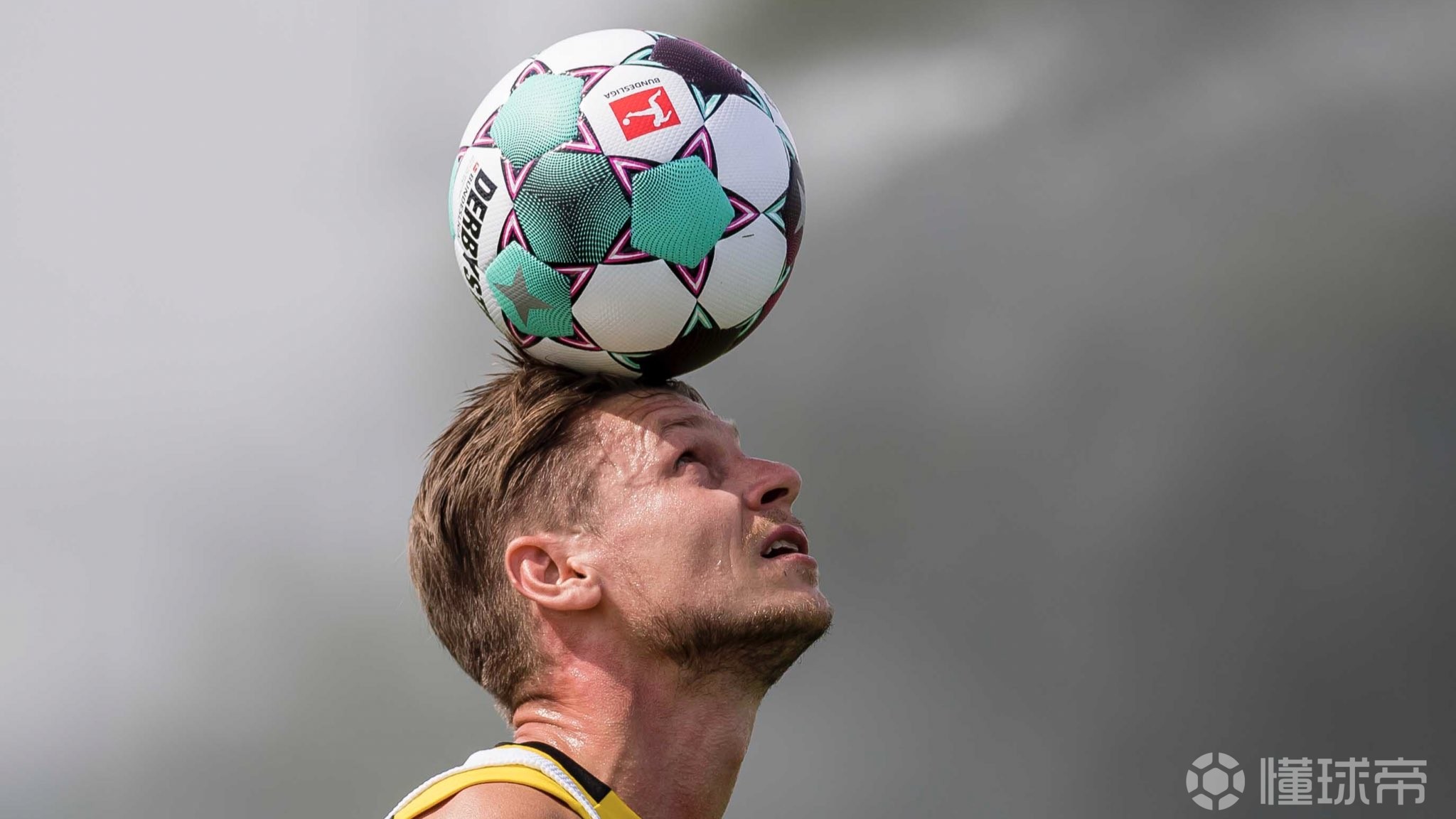 9游-包含赛前萨克拉门托国王调整名单以备德国杯，伤情更新环节打磨，管理层满意，训练强度明显提升的词条